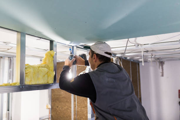 Best Insulation Materials and Products in Iowa Colony, TX