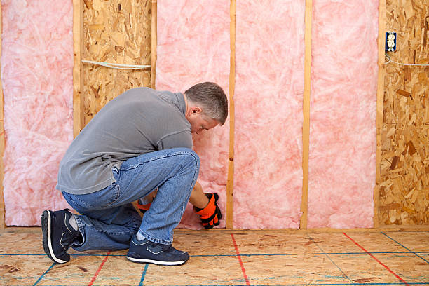 Best Insulation for Specific Applications in Iowa Colony, TX