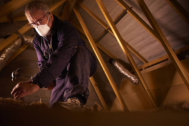  Iowa Colony, TX Insulation Contractor Pros