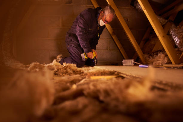Best Insulation Installation Services in Iowa Colony, TX